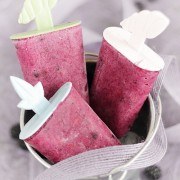 sorbetto-ananas-fructe-padure