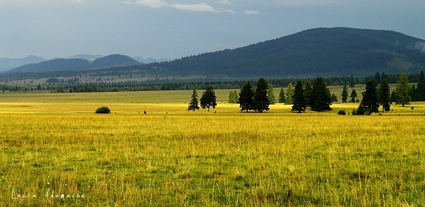 Peisaj montan din Romania