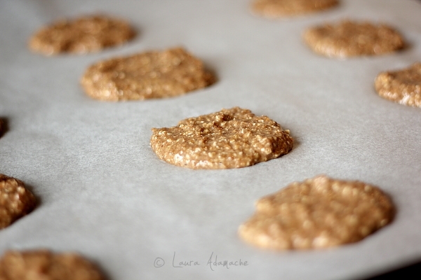 Biscuiti Dukan Cu Scortisoara Retete Culinare Laura Adamache