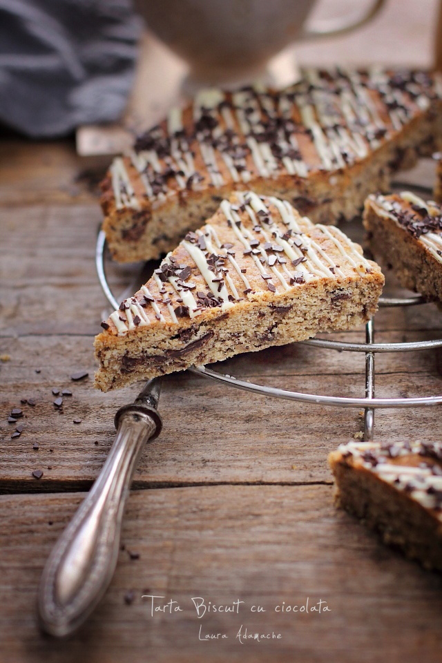 Tarta biscuit cu ciocolata detaliu